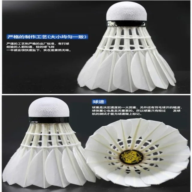 多维解读赛事动态与新闻资讯的热点聚焦